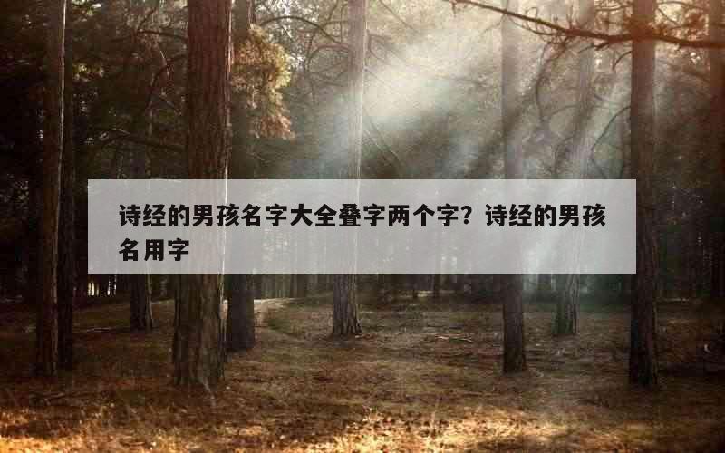 诗经的男孩名字大全叠字两个字？诗经的男孩名用字