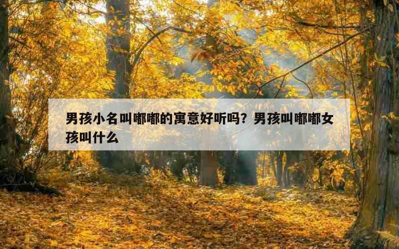 男孩小名叫嘟嘟的寓意好听吗？男孩叫嘟嘟女孩叫什么