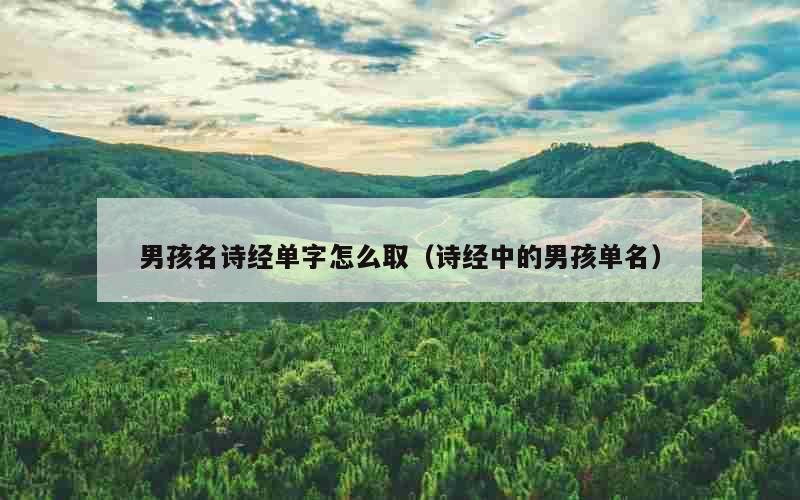 男孩名诗经单字怎么取（诗经中的男孩单名）