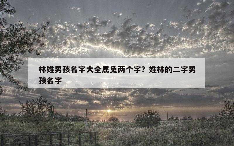 林姓男孩名字大全属兔两个字？姓林的二字男孩名字