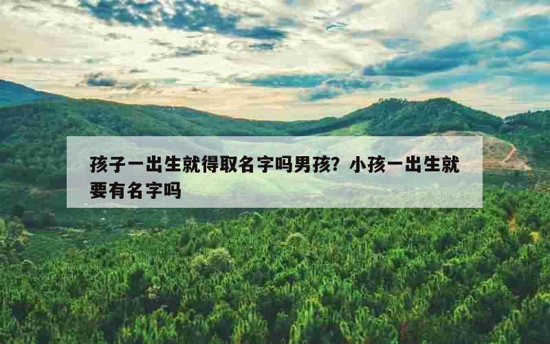 孩子一出生就得取名字吗男孩？小孩一出生就要有名字吗