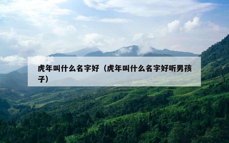虎年叫什么名字好（虎年叫什么名字好听男孩子）