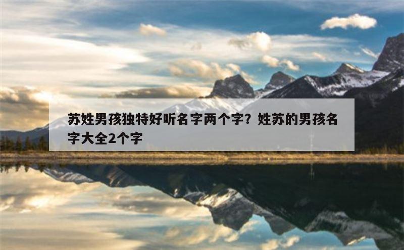 苏姓男孩独特好听名字两个字？姓苏的男孩名字大全2个字