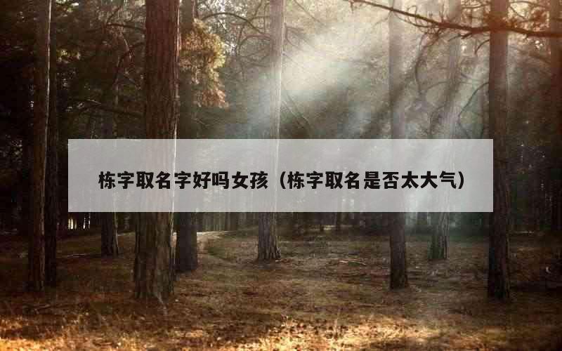 栋字取名字好吗女孩（栋字取名是否太大气）