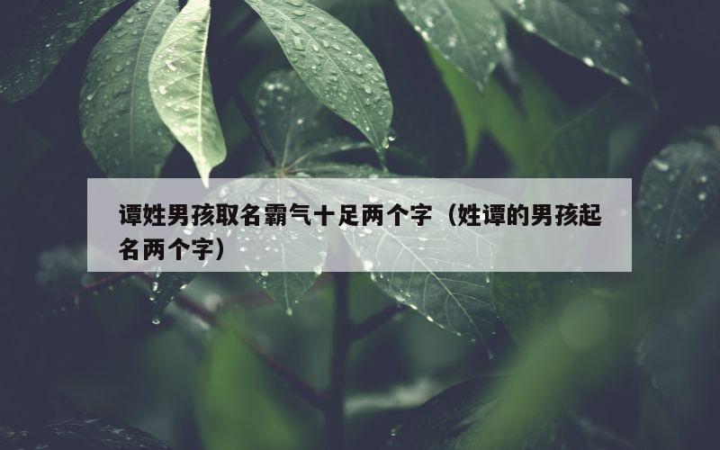 谭姓男孩取名霸气十足两个字（姓谭的男孩起名两个字）