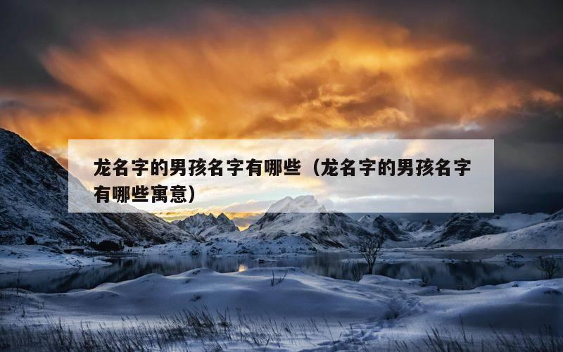 龙名字的男孩名字有哪些（龙名字的男孩名字有哪些寓意）