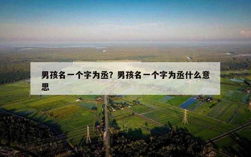 男孩名一个字为丞？男孩名一个字为丞什么意思