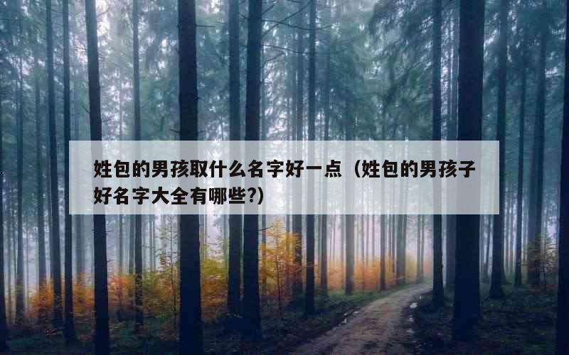 姓包的男孩取什么名字好一点（姓包的男孩子好名字大全有哪些?）