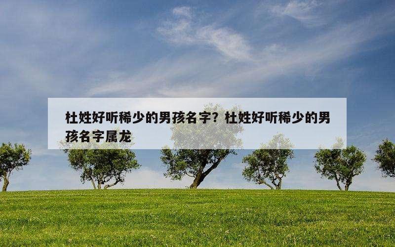 杜姓好听稀少的男孩名字？杜姓好听稀少的男孩名字属龙