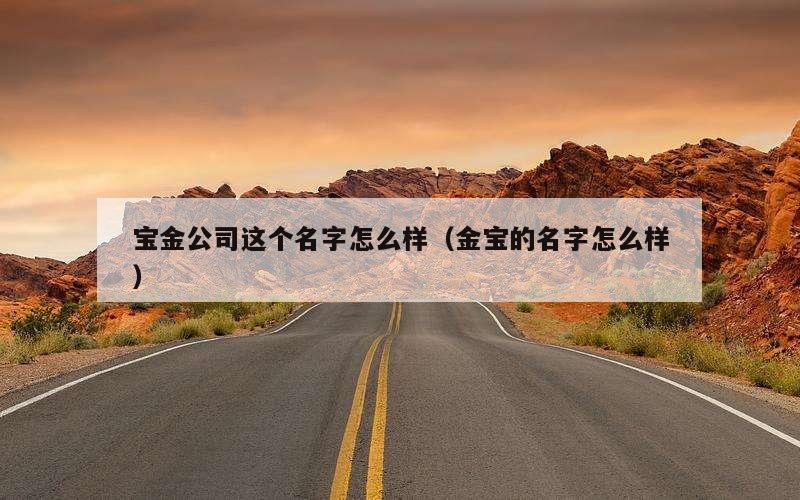 宝金公司这个名字怎么样（金宝的名字怎么样）