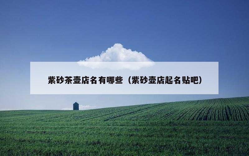紫砂茶壶店名有哪些（紫砂壶店起名贴吧）
