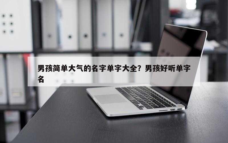 男孩简单大气的名字单字大全？男孩好听单字名