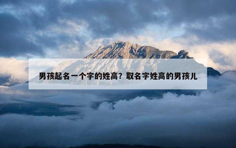 男孩起名一个字的姓高？取名字姓高的男孩儿