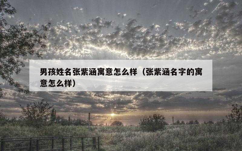 男孩姓名张紫涵寓意怎么样（张紫涵名字的寓意怎么样）