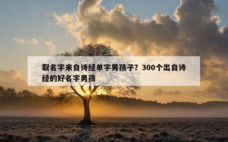 取名字来自诗经单字男孩子？300个出自诗经的好名字男孩