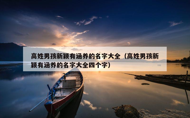 高姓男孩新颖有涵养的名字大全（高姓男孩新颖有涵养的名字大全四个字）