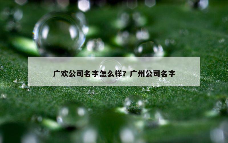 广欢公司名字怎么样？广州公司名字