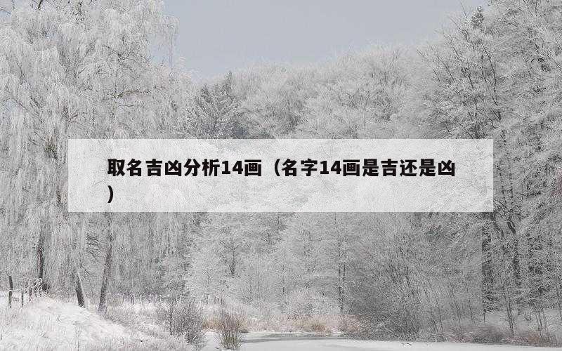 取名吉凶分析14画（名字14画是吉还是凶）