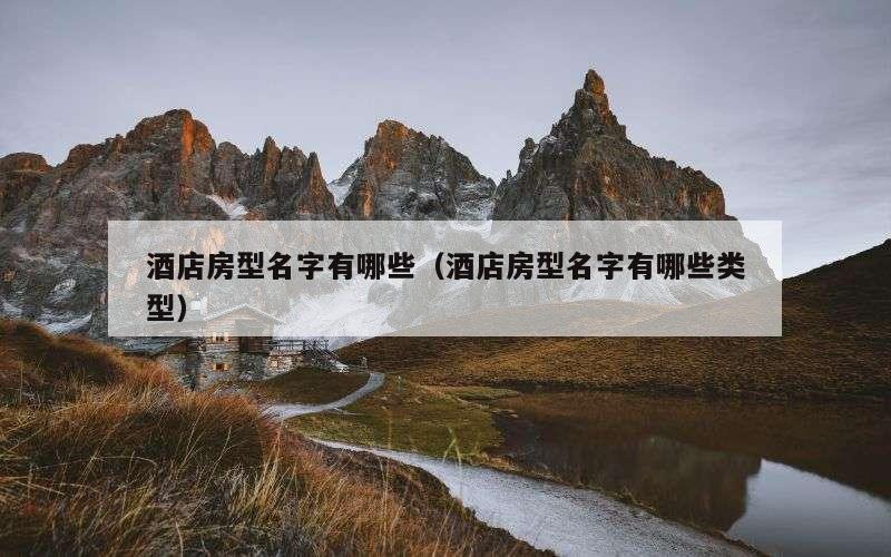 酒店房型名字有哪些（酒店房型名字有哪些类型）