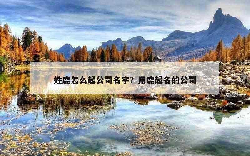 姓鹿怎么起公司名字？用鹿起名的公司