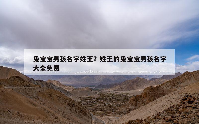 兔宝宝男孩名字姓王？姓王的兔宝宝男孩名字大全免费