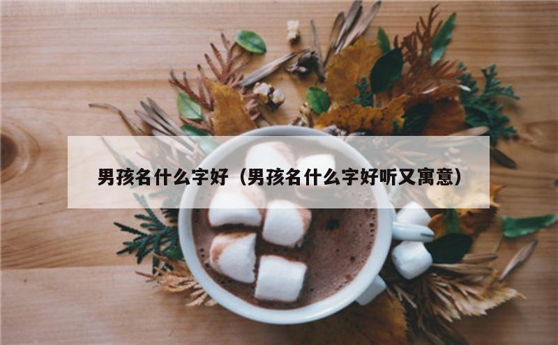 男孩名什么字好（男孩名什么字好听又寓意）