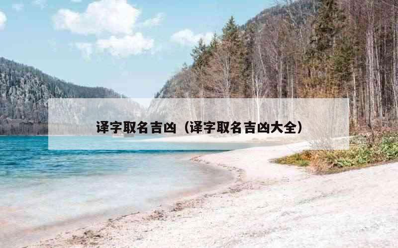 译字取名吉凶（译字取名吉凶大全）