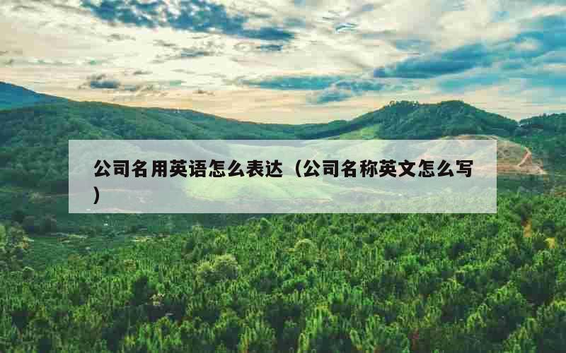 公司名用英语怎么表达（公司名称英文怎么写）