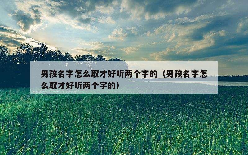 男孩名字怎么取才好听两个字的（男孩名字怎么取才好听两个字的）