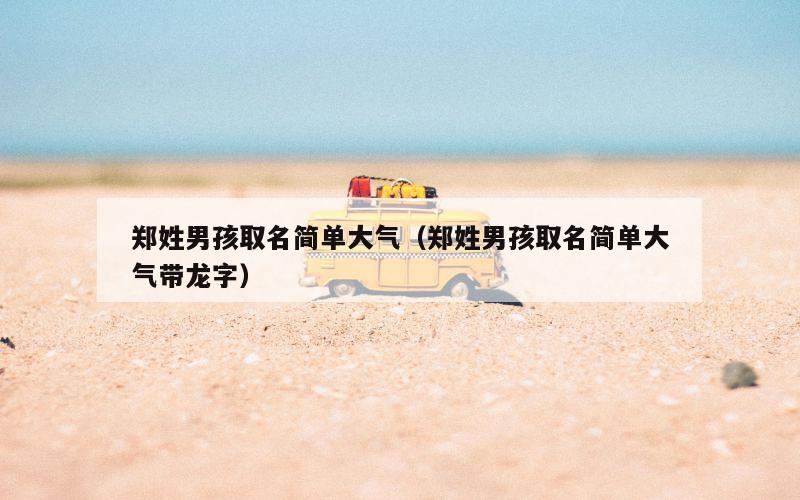 郑姓男孩取名简单大气（郑姓男孩取名简单大气带龙字）