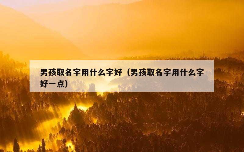 男孩取名字用什么字好（男孩取名字用什么字好一点）