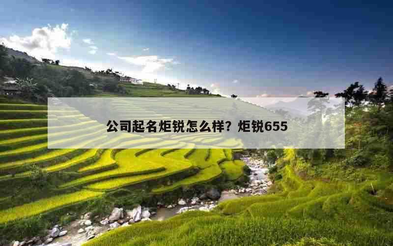 公司起名炬锐怎么样？炬锐655