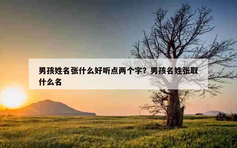 男孩姓名张什么好听点两个字？男孩名姓张取什么名