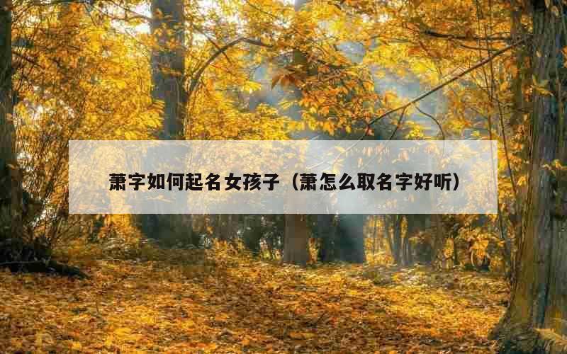 萧字如何起名女孩子（萧怎么取名字好听）