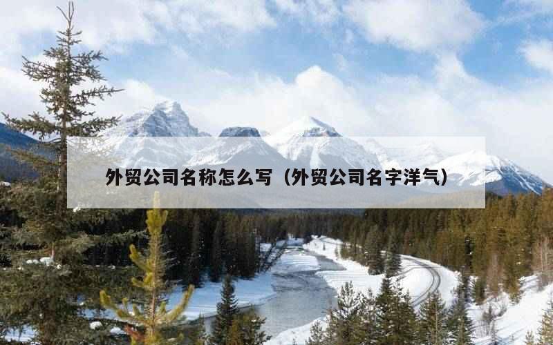 外贸公司名称怎么写（外贸公司名字洋气）