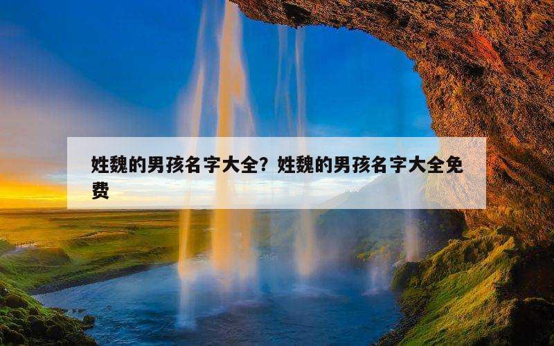 姓魏的男孩名字大全？姓魏的男孩名字大全免费