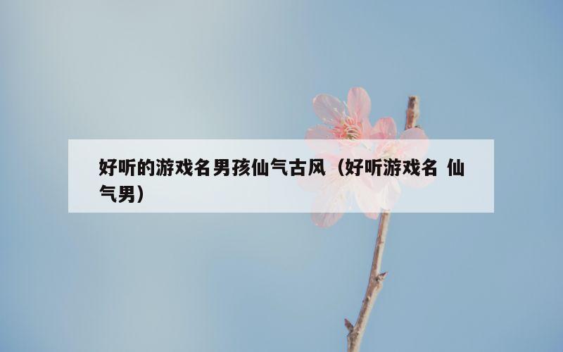 好听的游戏名男孩仙气古风（好听游戏名 仙气男）