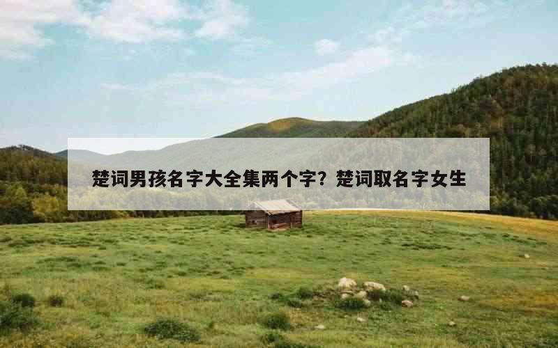 楚词男孩名字大全集两个字？楚词取名字女生