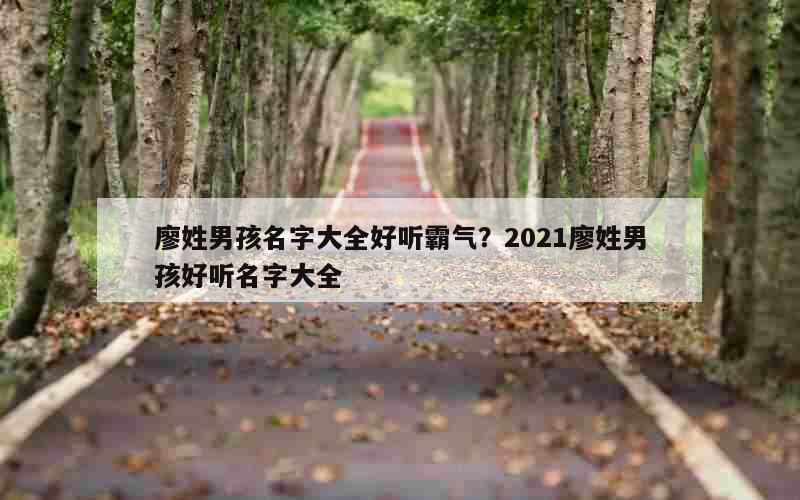 廖姓男孩名字大全好听霸气？2021廖姓男孩好听名字大全