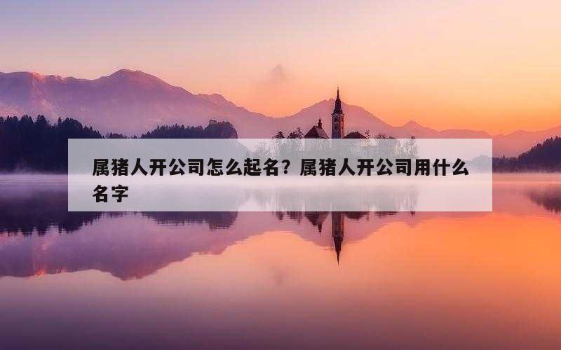 属猪人开公司怎么起名？属猪人开公司用什么名字