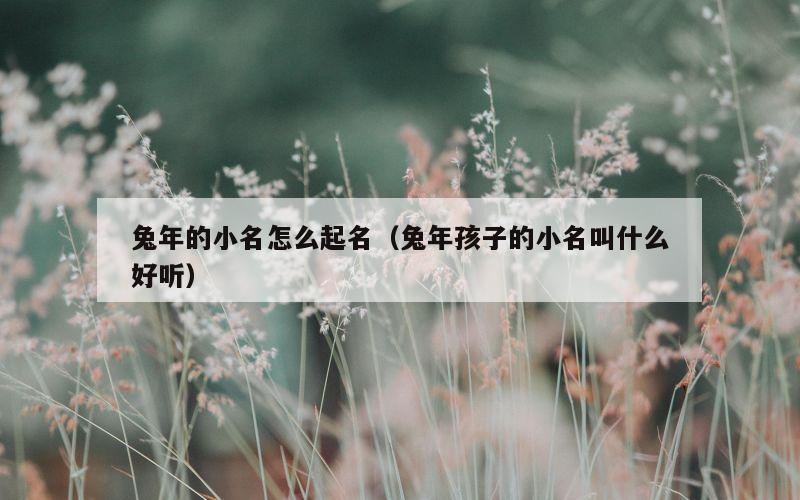 兔年的小名怎么起名（兔年孩子的小名叫什么好听）