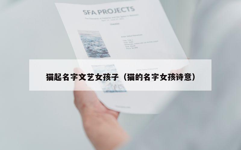 猫起名字文艺女孩子（猫的名字女孩诗意）
