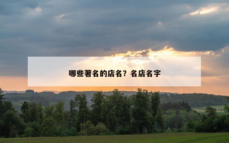 哪些著名的店名？名店名字