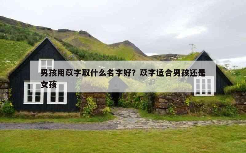 男孩用苡字取什么名字好？苡字适合男孩还是女孩