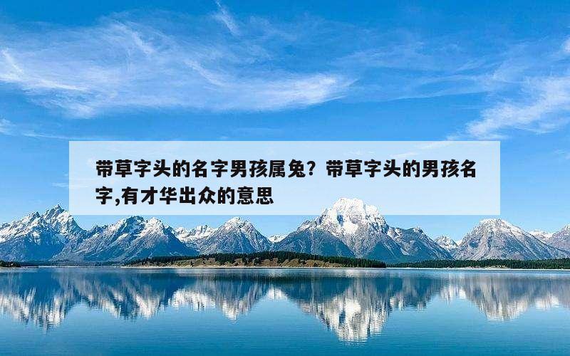 带草字头的名字男孩属兔？带草字头的男孩名字,有才华出众的意思