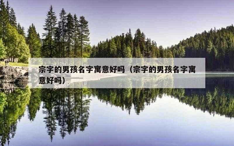 宗字的男孩名字寓意好吗（宗字的男孩名字寓意好吗）