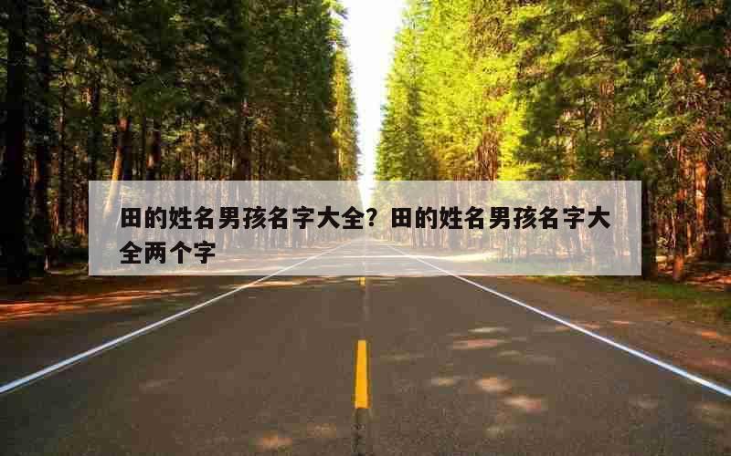 田的姓名男孩名字大全？田的姓名男孩名字大全两个字