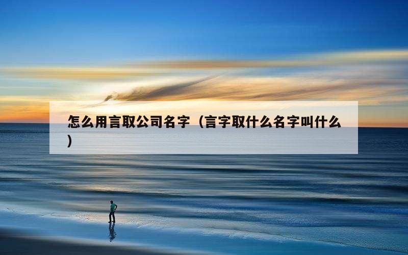 怎么用言取公司名字（言字取什么名字叫什么）