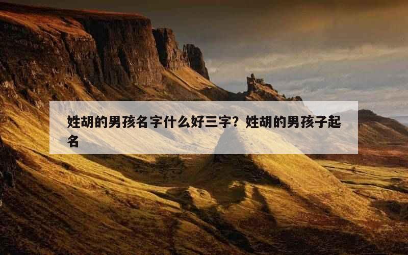 姓胡的男孩名字什么好三字？姓胡的男孩子起名