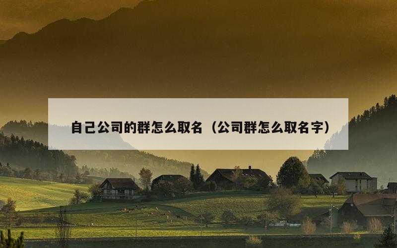 自己公司的群怎么取名（公司群怎么取名字）
